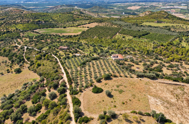 NOTO – DUE CASALI PANORAMICI CON 20 ETTARI DI AZIENDA AGRICOLA BIOLOGICA E AUTORIZZAZIONE AGRITURISTICA